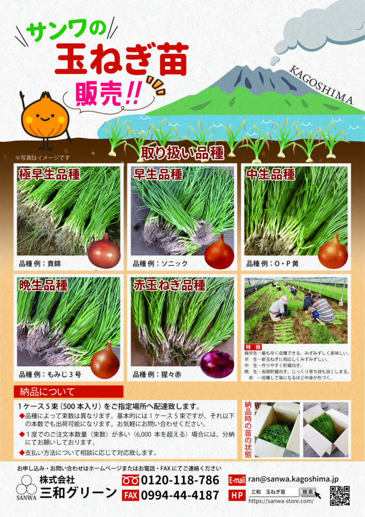 玉ねぎ苗相談用 楽天市場】【予約商品】淡路島産たまねぎ苗早生品種七宝 ＃玉ねぎ苗